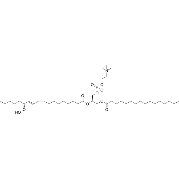 1-Palmitoyl-2-13(S)-HpODE-sn-glycero-3-PC 444997-11-9